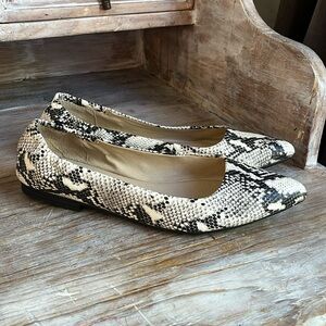 🤍 Sun + Stone Jilly Leather snakeskin print ballet flat size 8 pointy toe
